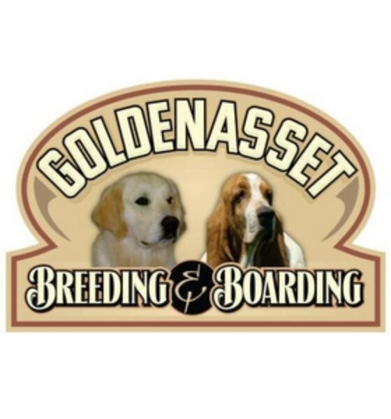 GoldenAsset Kennel